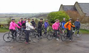 pedal power gallery 13