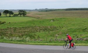 pedal power gallery 20
