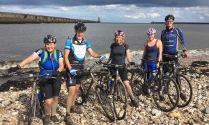 pedal power gallery 27