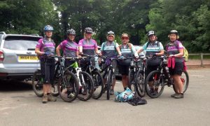 pedal power gallery 31